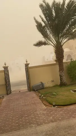 -Đến DuBai 5 tháng lần đầu tiên chứng kiến bão cát.Mù nịt luôn .Sợ thật .#uae