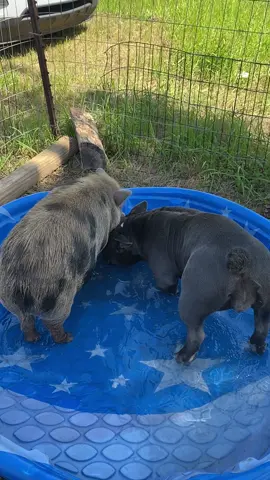 Besties ❤️