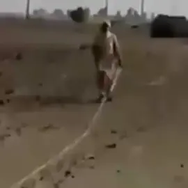 يا جار بيت الله