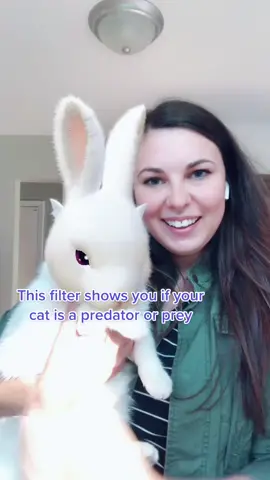 Oh no, they are both prey 😳 #predatororprey #catfilter #tiktokfilter #catsoftiktok #catvideos #predatorprey #catslover #catladystuff #ilovecatssss #cattoks #catvids