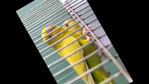 ❤️❤️❤️👈