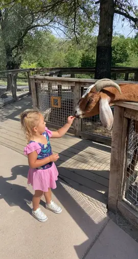 I always knew she was some type of animal… who would have guessed goat 🐐#fyp #foryoupage