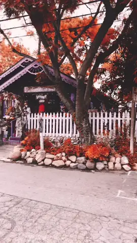 Sunday small town vibes in San Juan Capistrano #gilmoregirls #sanjuancapistrano #fallaesthetic #caroleking