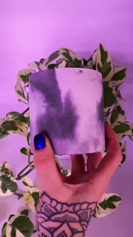 Our 3.5 inch concrete pot! 🎨 #concretepot#concreteplanter#plantpot#handmadepot#concreteartist #diyconcrete #plantvibe#onlineplantshop#pothoshop