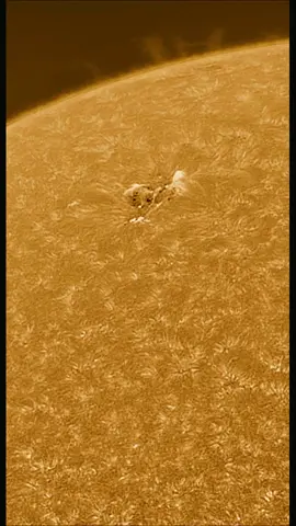 I captured action on the sun today.  #sun #solar #solarflare #universe #cosmos #Astronomy #astrophotography #solarheat #timelapse #LearnOnTikTok #fyp