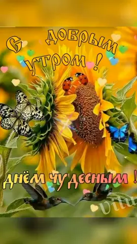 #сдобрымутром #