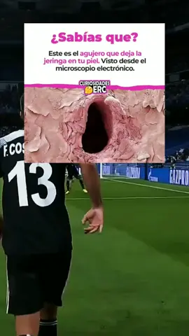 AYUDA NO PUEDO PARAR XD#thechicharito_tiktok #thechicharito