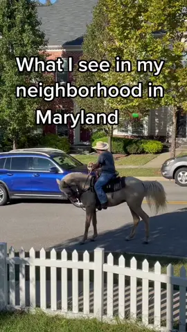 #greenscreenvideo giddy-up #fyp #dmv