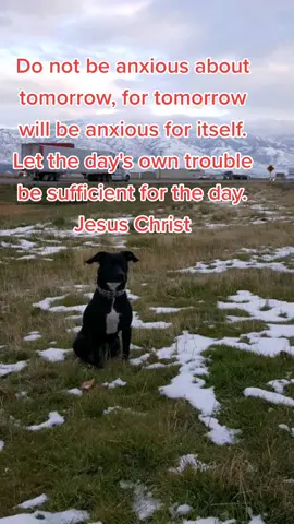 Live in the present !! #Godisgood  #liveforthechallenge #godtobetheglory #bepostive
