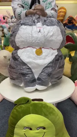 Emperor cat☺️#plushies #plushtoys #doll #giftforyou #fouryou #fouryoupage #tiktok