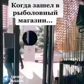 у всех было такое 🤣 #рекомендации #РыбалкаВиноградик #реки #vinogradik37pro #рыбалка #юмор #ржака #юморрыбалка #ржака😂