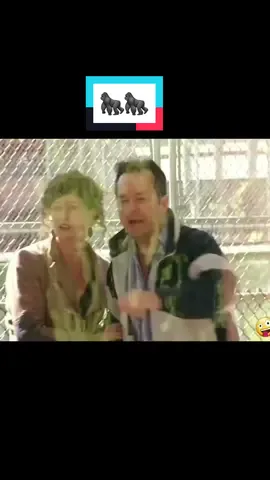 #zoo #gorilla #funny #prank #enjoy #foryoupage #foryourpage #foryou #fyp #fypシ #fy #entertain_ #fypage #pourtoi #TrueStoryAvecVous