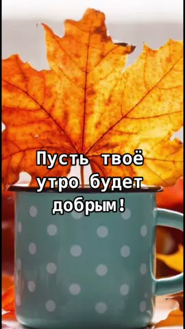 #доброеутро #хорошегодня #пожеланиясдобрымутром #дождь #пожеланиядрузьям