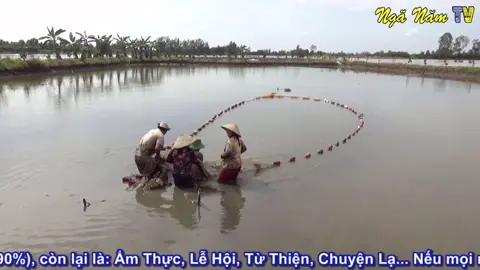 Quê Hương Miền Tây Khi Mùa Nước Nổi Về toàn cá ngon 😍 #batca #mientay #fish #fishingvideos #fishing #nganamtv #muanuocnoi #xuhuong #xuhuongtiktok