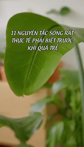 11 nguyên tắc sống phải biết trước khi quá trễ #LearnOnTikTok #education #nguoibanlinh #tiktokhuongnghiep #hieuminhhieunghe #squidgame #gametachkeo