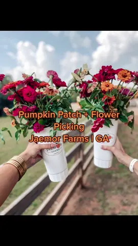 The perfect fall day at Jaemor Farms! #hellofall #pumpkinpatch #photography #imobsessed #foryoupage #livelaughlove #fyp #georgiatravel #travel
