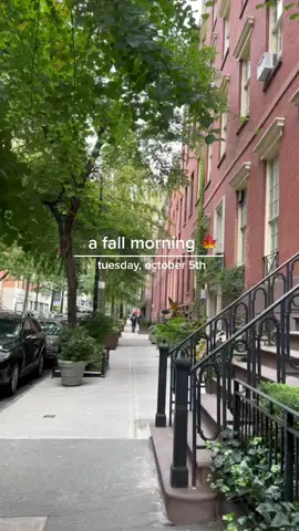 getting into the fall spirit 🎃 #nyc #fall #morningroutine