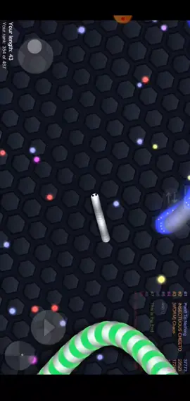 POV: every game in Slither.io