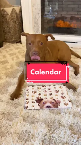 2022 CALENDAR IS LIVE!! 🗓 L!NK IN B!0