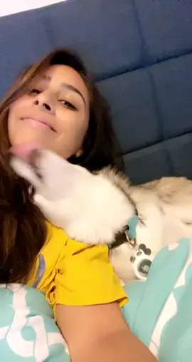 I don’t deserve her 😭😭😭 #dogsofttiktok #doggo #pomsky #viral #pomsky #fyp