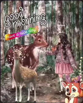 #പ്രണയിക്കപ്പെടുക എന്നത് ഒരു ഭാഗ്യമാണ് അതിനേക്കാൾ ഭാഗ്യമാണ് നമ്മളെ മനസിലാക്കുന്ന ഒരാളുടെ പ്രണയമാവുക എന്നത്❤️❤️❤️ #പൊന്നൂസ് #kuwait #صباح_الخير #goodmorning #kochi #bahrain