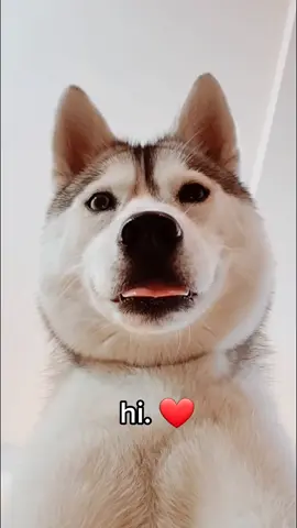 Might delete later.