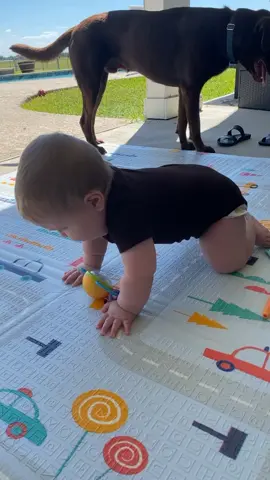 He’s figuring it out! #MomsofTikTok #babytok #SoundcoreGoForGold #amazonbabyfinds #amazonbaby