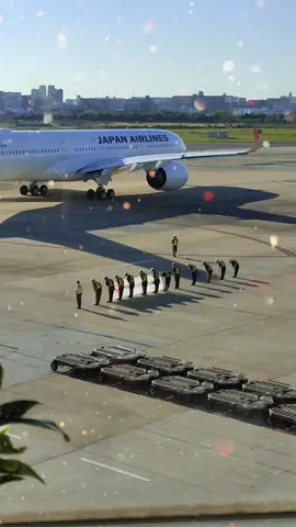 JAPAAAN!!!!! They kept waving their hands until the plane is gone 😌✨#japan #fyp #airport #おすすめ