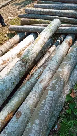buat yg ngerasa ja🙏