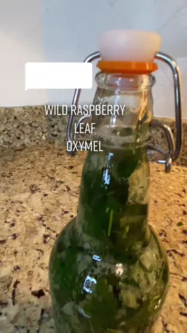 Reply to @omenthirteen #StudentSectionSauce #SoundcoreGoForGold #forage #forager #foraging #foragetok #blackforager #blackforagers #foragersoftiktok #LearnOnTikTok #foragetiktok #foragertiktok #herbalism #nature #Outdoors #plants #BlackTikTok #PlantTok #planttiktok