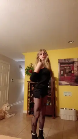 ☠️😽☠️