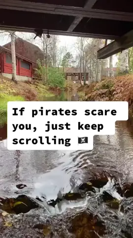 That has got to be the best pirate I’ve ever seen (Via: @matildapersson)