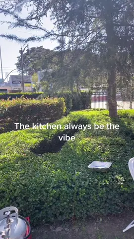 The best vibe #food #cook #chicken #fyp #cater #thebestfoodontiktok