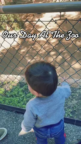 Our family date at the zoo #lazoo  #family #minivlog #Vlog #familytime #zoo