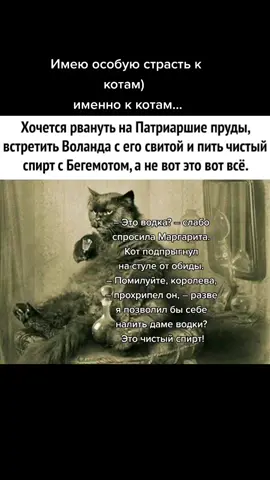 #котбегемот #чеширскийкот #мастеримаргарита #ksysi_ #ksysi_ksy_ #топ #рек #чистыйспирт #тикерытокеры
