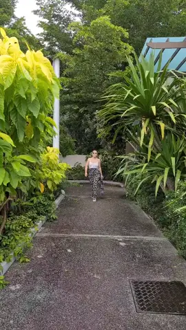 💃💃💃