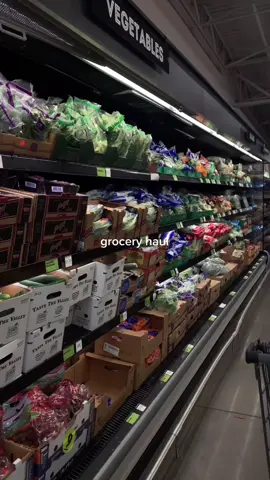 lil grocery haul/restock #OneSliceChallenge #dailyvlog #groceryhaul #minivlog #ga