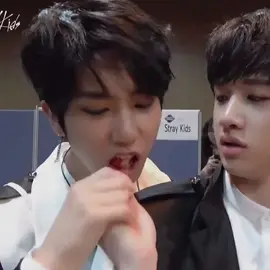 strawberry snatcher #straykids #skz #han #hanjisung #bangchan #chan #hanijisungs