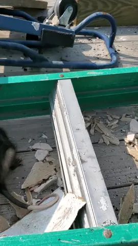 work pet #possum #possums #possumsoftiktok #fyp #possumtok #trippinwithstacy #work #rescueanimals #rescue #job