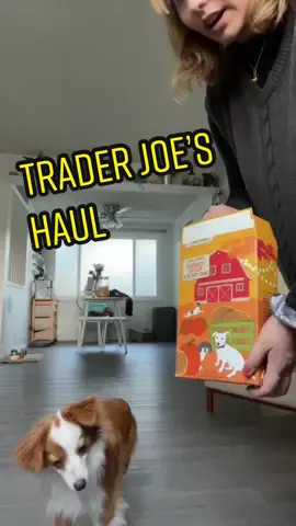 trader joe’s haul🤪 #dailyvlog #traderjoes #traderjoesfoodreviews #doglover
