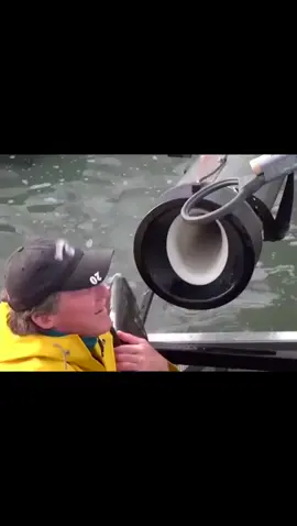 Now you have to fish for bullets without tanks