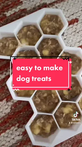 their spins at the end 😭!! Easy to make dog treats: cooked oats, banana, crunchy @KONG Company snacks 🍌 mix freeze tricks & serve #dogs #dogtreats