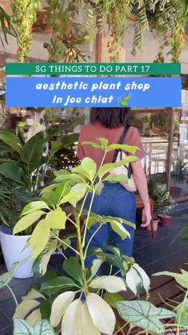 Bookmark this cute spot if you love plant shopping 🌿 #joochiat #singapore #sgplantshop #singapore