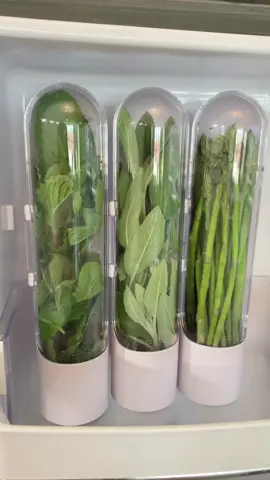Check out this fresh find! 🌿 Keep your herbs organized and crisp with our sleek herb saver capsules! #fyp #KitchenHacks #homeimprovement