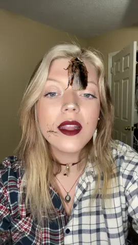 #ForYouPizza #fyp #foryou #foryoupage #buggirl #weirdpets #trend #trending #viral #xyzbca #PetsOfTikTok #cockroach #bug #TreatiestCupContest