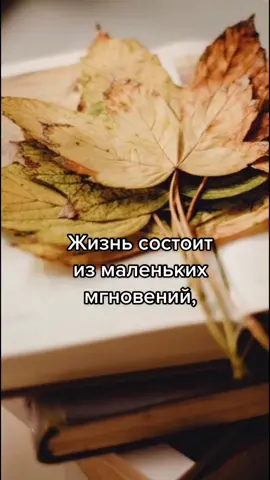 #сдобрымутром #пожеланиясдобрымутром #пожеланиядрузьям #хорошегодня