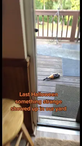 It tried to kill us all 😂😂 #IKnowWhatYouDid #halloween #scary #notreally #TreatiestCupContest #fypシ