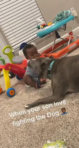 #babyvsdog #dog #pandemicbaby #gaurddog #funny