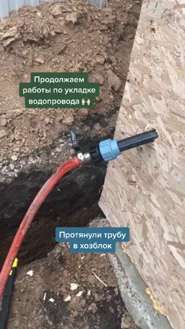 Чтобы зимой не остаться без воды 🙏🏻 #приют #приютдлясобак