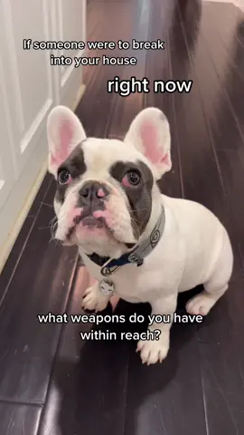 what weapons do you have? 😈 #MakeItCinematic #viral #dogsoftiktok